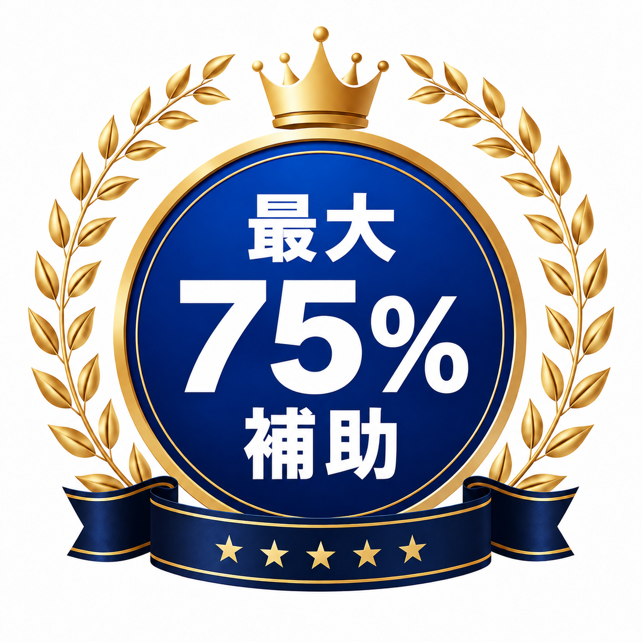 最大75パーセント補助